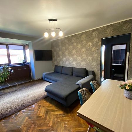 Comfort Home Apartment 2 Petroşani Eksteriør bilde